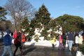 Botanical Gardens-NYC