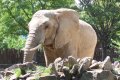 zoo